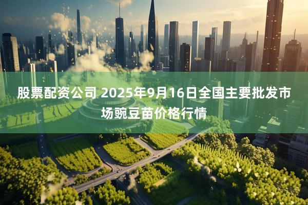 股票配资公司 2025年9月16日全国主要批发市场豌豆苗价格行情